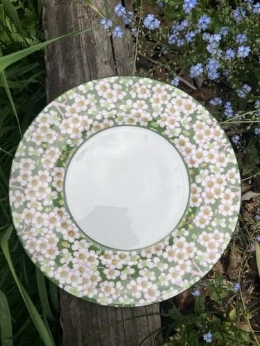 Rare royal doulton dinner - x,